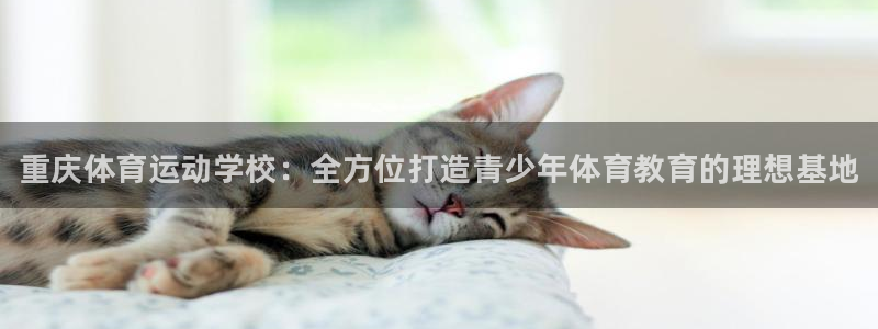JJB竞技宝官网下载招商电话号码是多少号：重庆体育运