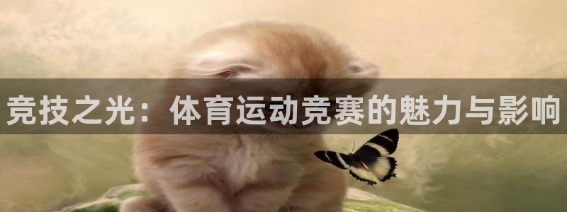 JJB竞技宝官方正版app集团logo：竞技之光：体