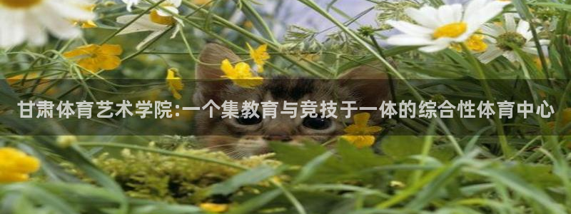 JJB竞技宝官方正版app神州：甘肃体育艺术学院:一