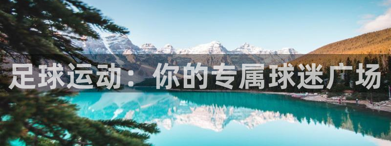 JJB竞技宝官方正版app集团logo：足球运动：你