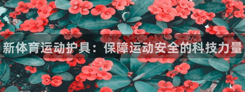 JJB竞技宝官方正版app科技：新体育运动护具：保障