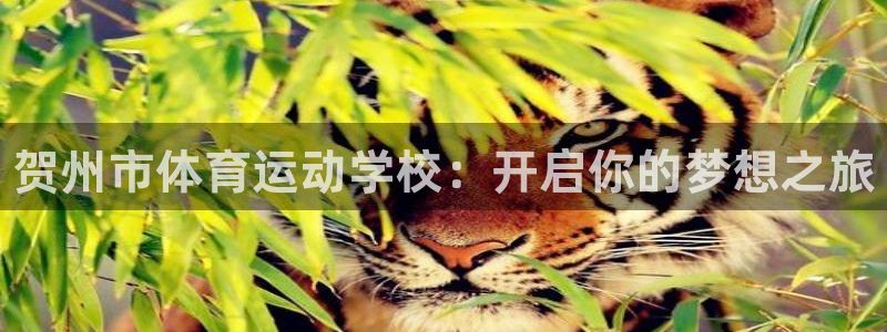 JJB竞技宝官网下载招商电话地址是多少：贺州市体育运