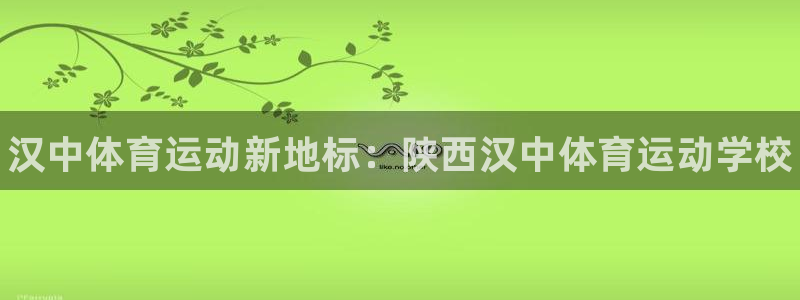 JJB竞技宝官方正版app集团E.ON：汉中体育运动