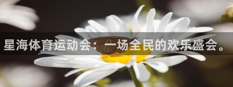 JJB竞技宝官网下载招商电话号码是多少号：星海体育运