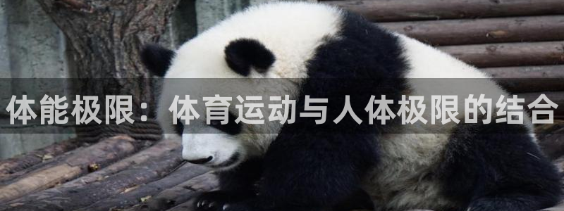 JJB竞技宝官网下载开户：体能极限：体育运动与人体极