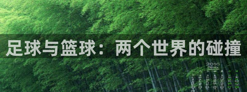 JJB竞技宝官网下载招商电话号码是多少号：足球与篮球