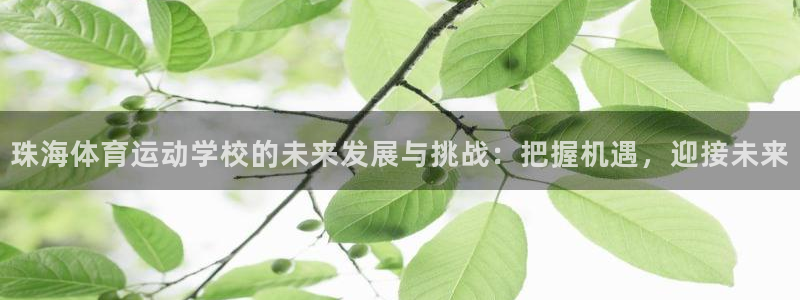 JJB竞技宝官网下载娱乐