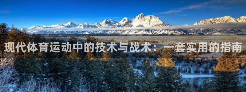 JJB竞技宝官网下载招商：现代体育运动中的技术与战术：一套实