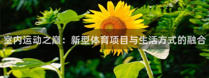 JJB竞技宝官方正版app集团简介：室内运动之巅：新型体育项
