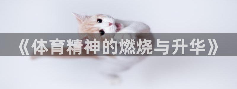 JJB竞技宝官方正版app开户：《体育精神的燃烧与升华》