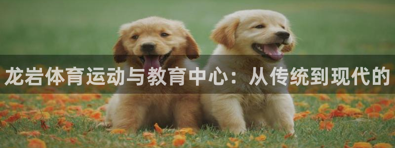 JJB竞技宝官网下载招商电话号码是多少号：龙岩体育运动与教育