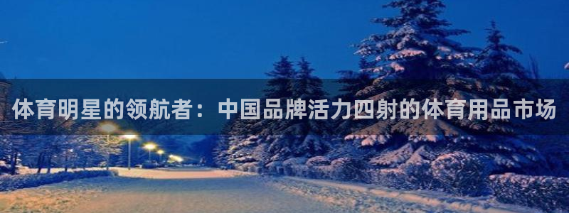 JJB竞技宝官网下载软件：体育明星的领航者：中国品牌活力四射