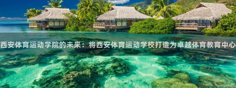 海南JJB竞技宝官网下载：西安体育运动学院的未来：将