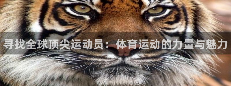 JJB竞技宝官方正版app娱乐下载：寻找全球顶尖运动员：体育