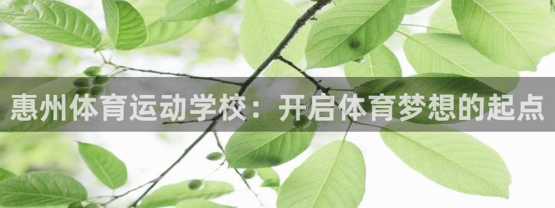 JJB竞技宝官方正版app新能源：惠州体育运动学校：开启体育