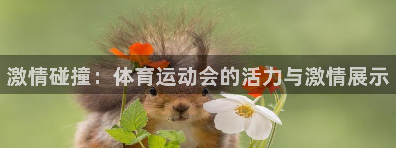 竞技宝app入口：激情碰撞：体育运动