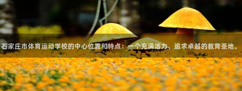 竞技宝手机版官网