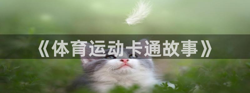 竞技宝网站合法吗：《体育运动卡通故事》