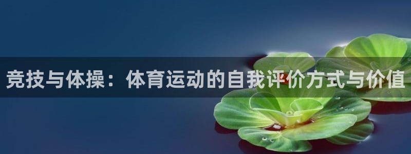竞技宝属于：竞技与体操：体育运动的自我评价方式与价值
