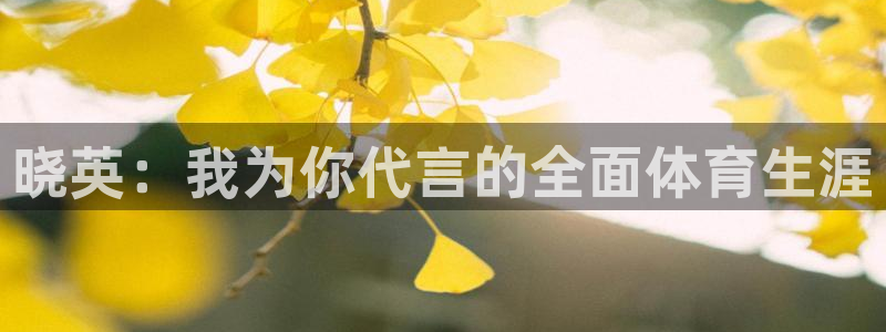 竞技宝官：晓英：我为你代言的全面体育