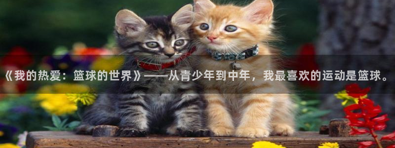 竞技宝app下载入口：《我的热爱：篮球的世界》——从青少年到