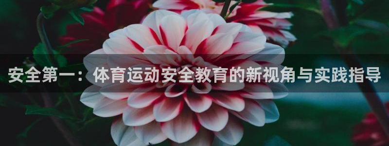 竞技宝吧：安全第一：体育运动安全教育的新视角与实践指导