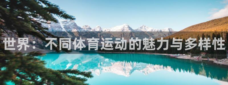  竞技宝合法安全吗：世界：不同体育运动的魅力与多样性