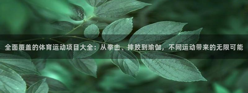 竞技宝登录不了了怎么回事：全面覆盖的