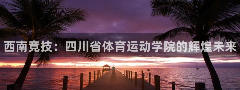 竞技宝上不去了：西南竞技：四川省体育