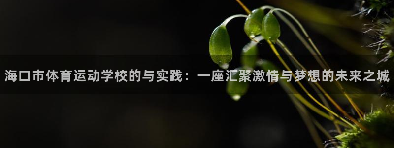  竞技宝电竞平台：海口市体育运动学校的与实践：一座汇聚激情与梦