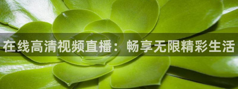 jrkan直播体育网nba：在线高清视频直播：畅享无限精彩生活