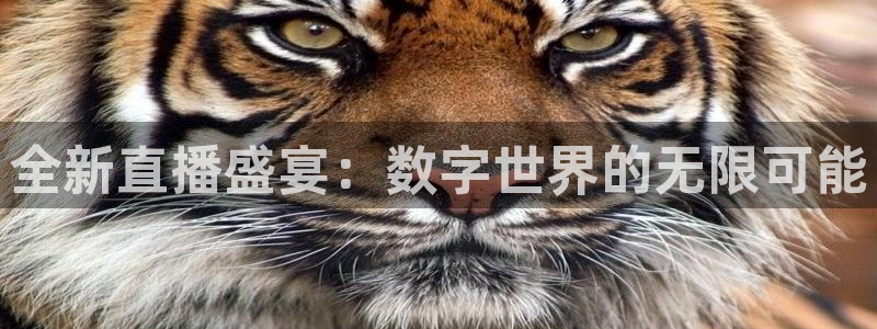 jrkan直播免费高清体育直播nba：全新直播盛宴：数字世界的无限可能