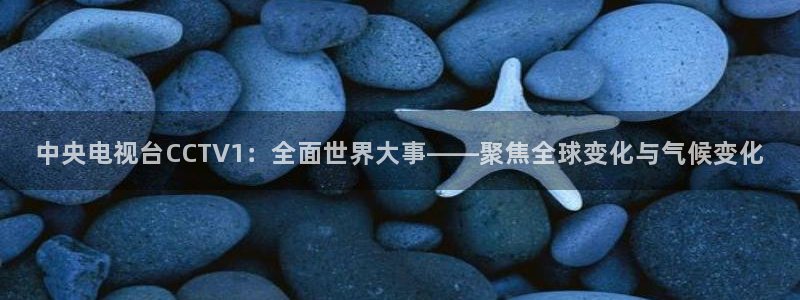 jrkan2022直播体育网：中央电视台CCTV1：全面世界大事——聚焦全球变化与气候变化