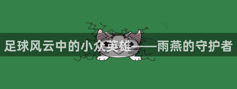jr看球网直播nba：足球风云中的小众英雄——雨燕的守护者