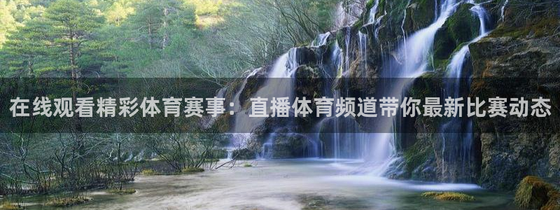 nbajrkan直播：在线观看精彩体育赛事：直播体育频道带你最新比赛动态