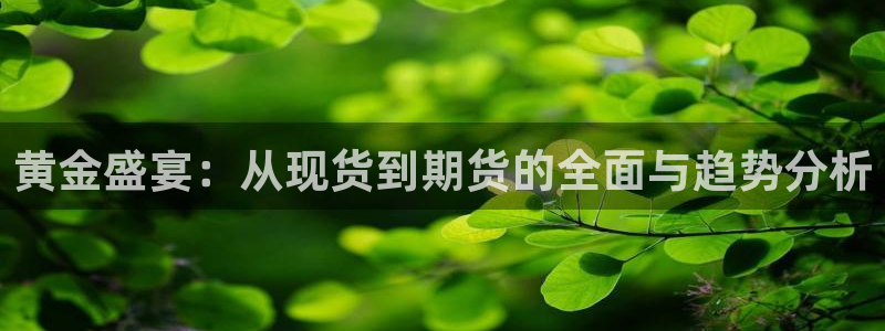 jr看球直播：黄金盛宴：从现货到期货的全面与趋势分析