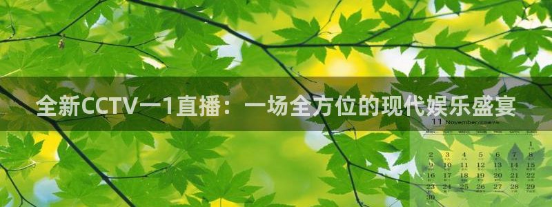 jr看球直播网：全新CCTV一1直播：一场全方位的现代娱乐盛宴