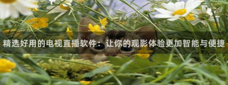 jrkan直播：精选好用的电视直播软件：让你的观影体验更加智能与便捷